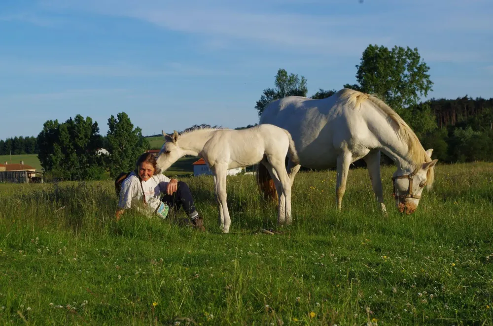 Éthologie près de Annonay